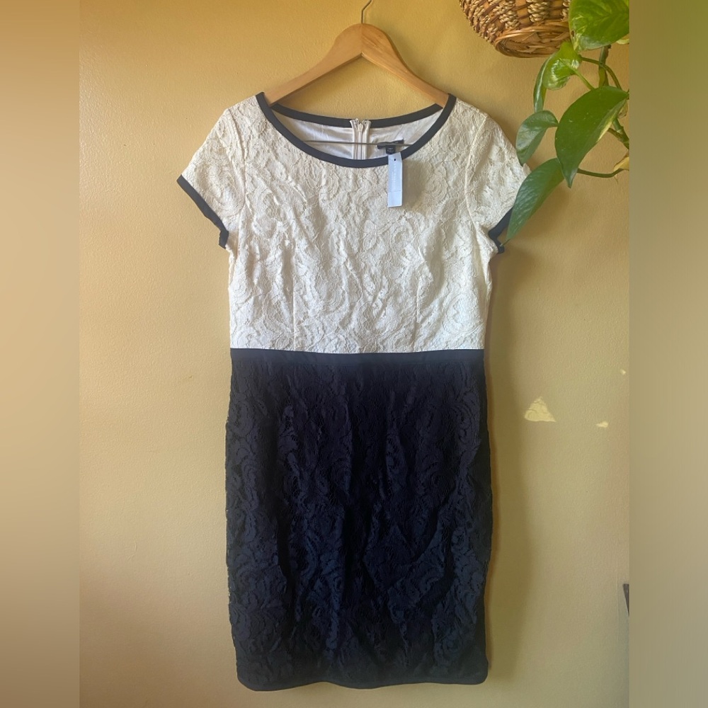 Ann Taylor Lace Sheath Dress Black & White sz 10 Petite New